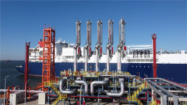 1681810712460068825.png 1.png