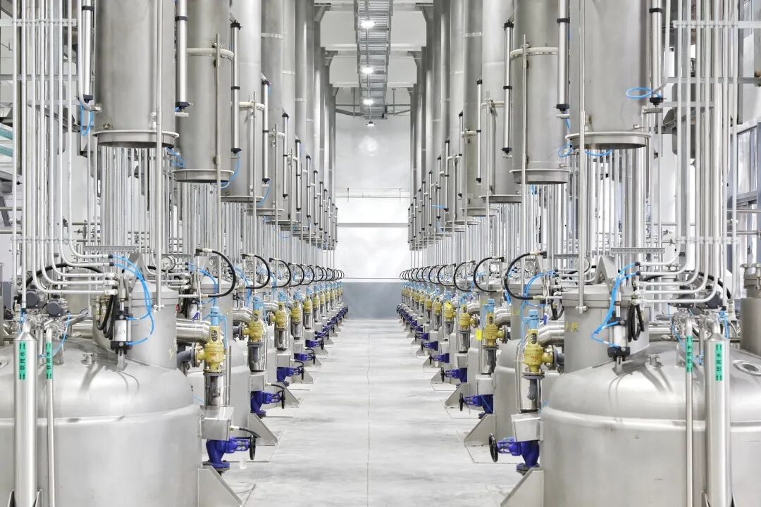 1767665907753010719.jpg 5.jpg