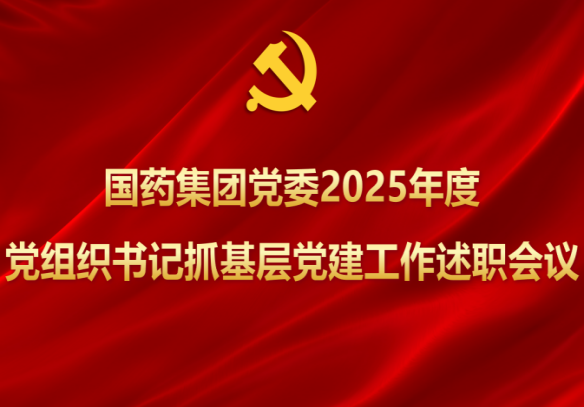 乐鱼·体育党委召开2025年度党组织书记抓基层党建工作述职会议